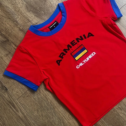 ‘ARMENIA’ crop top